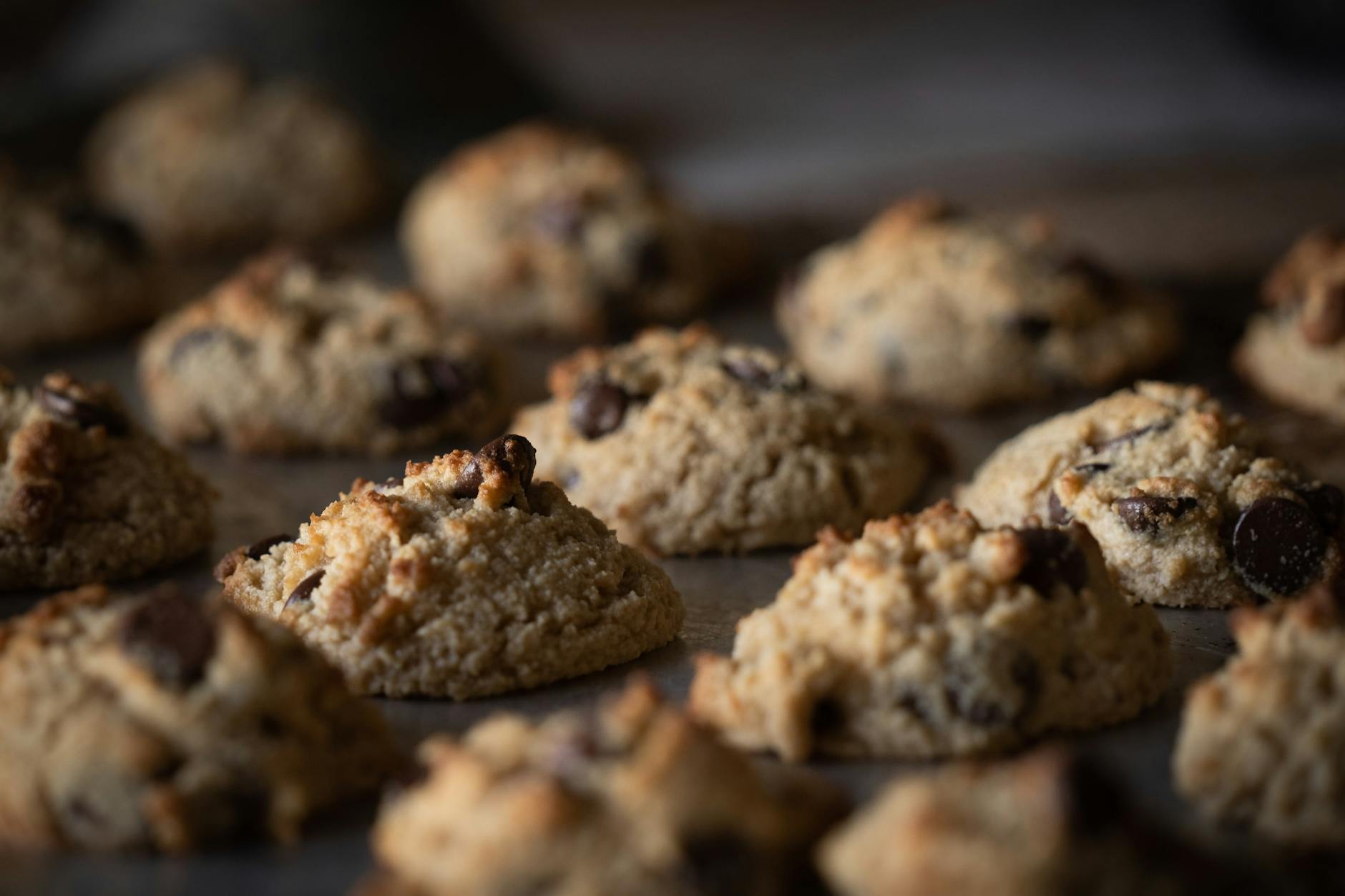Weight Loss Protein Cookies – Recipe